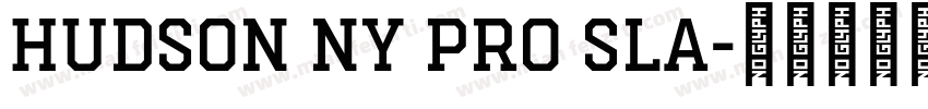 Hudson NY Pro Sla字体转换